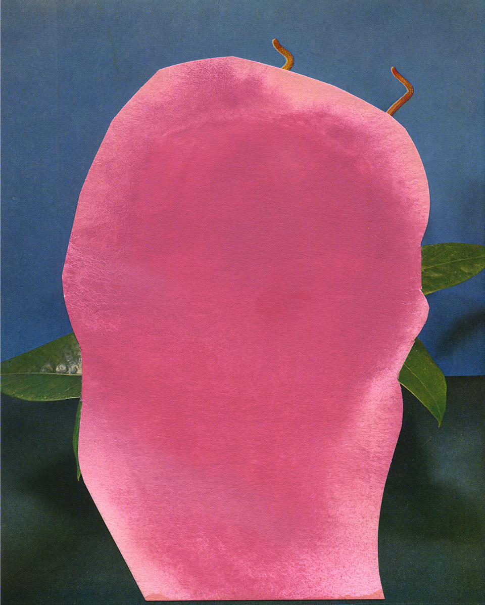 色彩奇异之旅 | ALYSI 温室中的“COLOUR | UNKNOWN”展览-34