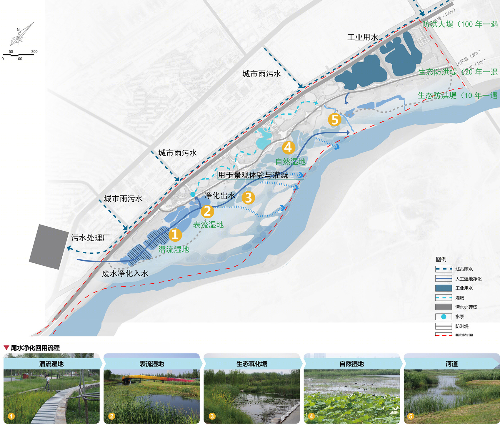 渭柳湿地公园-35