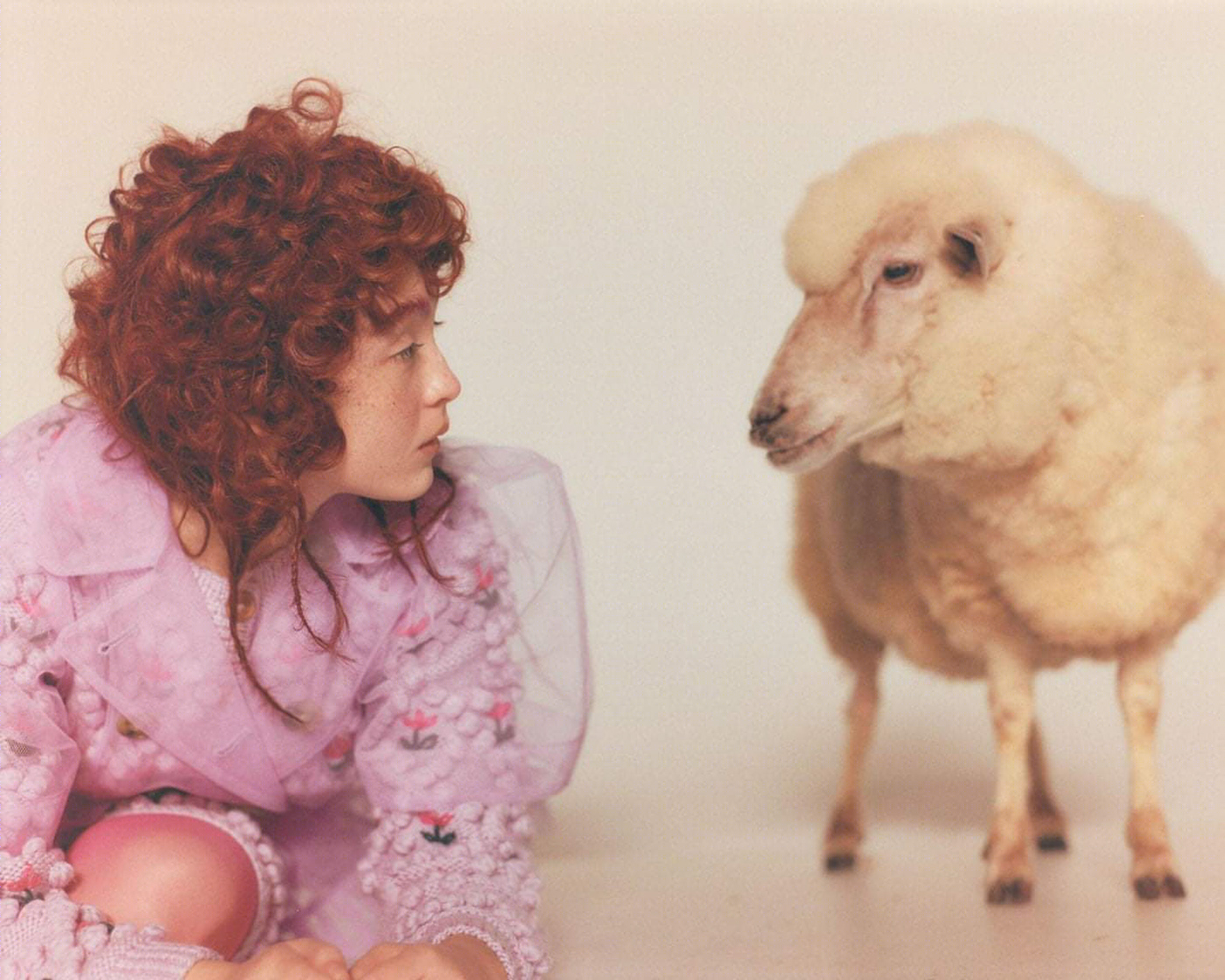 serena motola x sheep
.
.
.-8