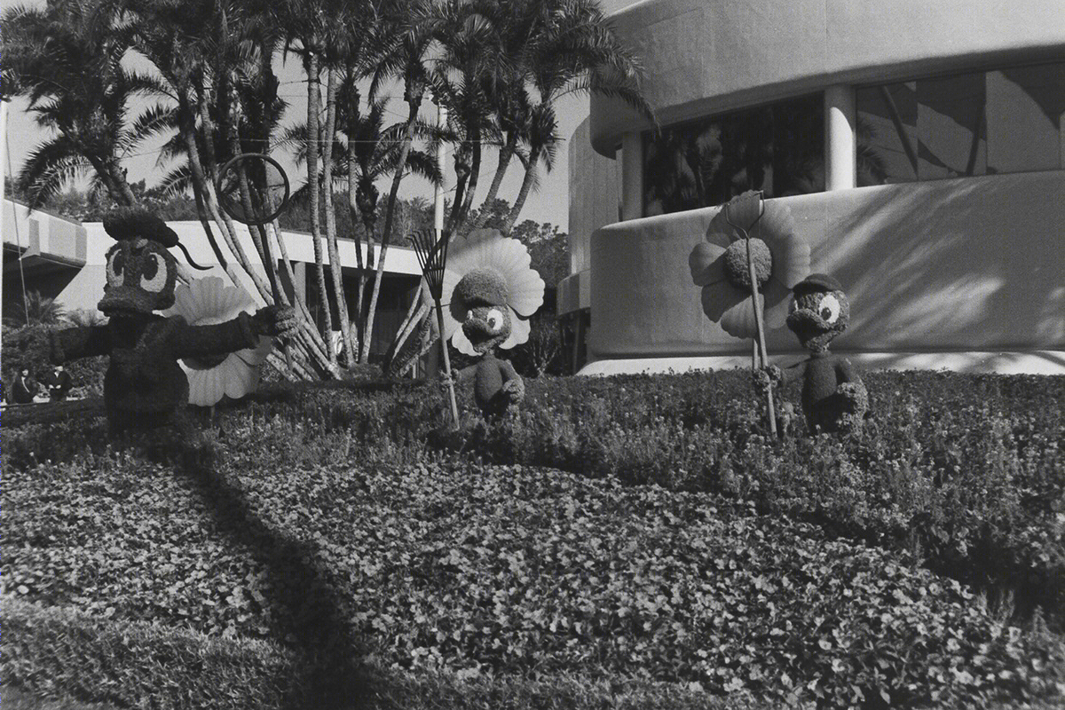 Lines and Shadows-2