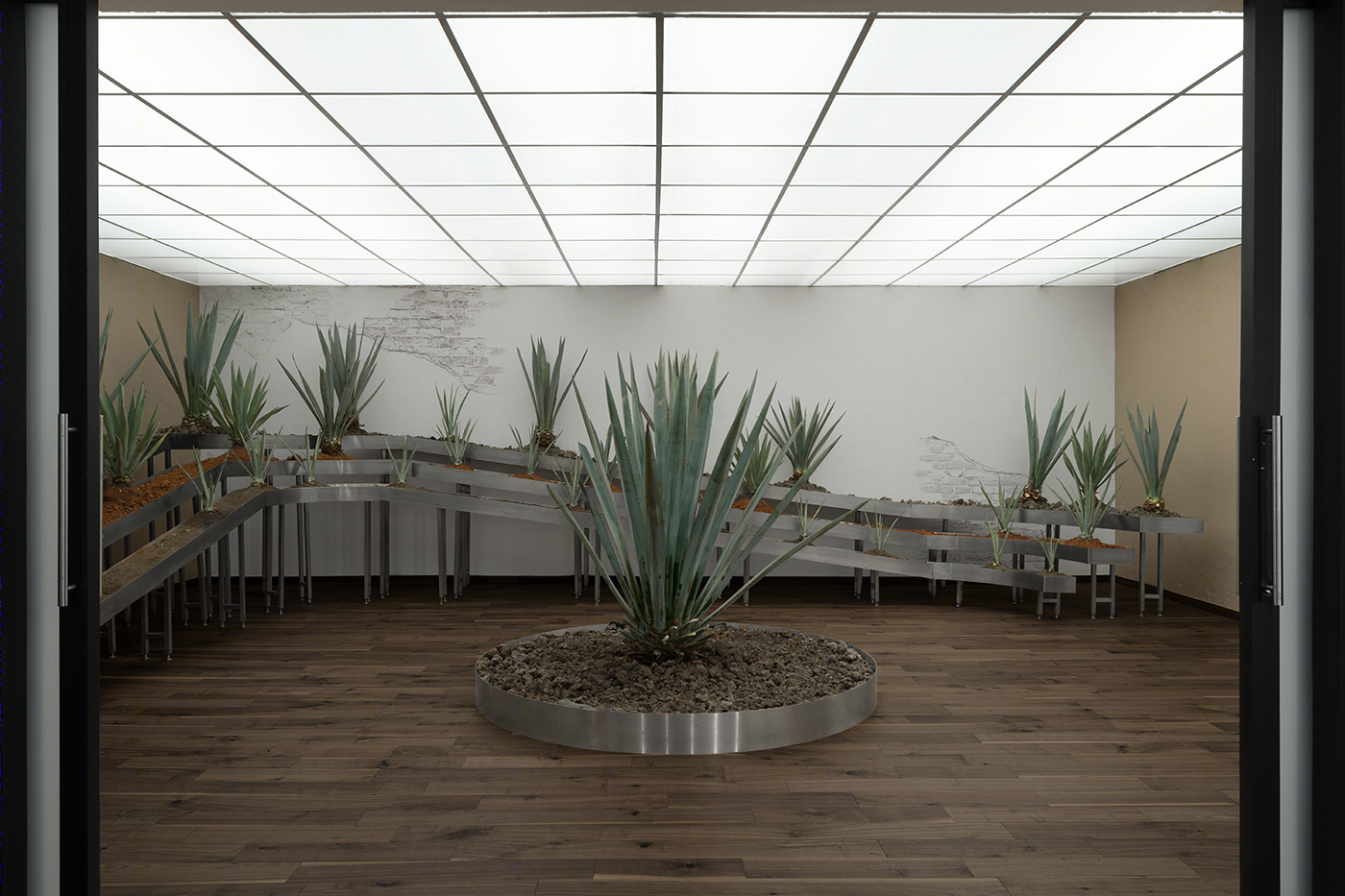 多贝尔的大师之地-15