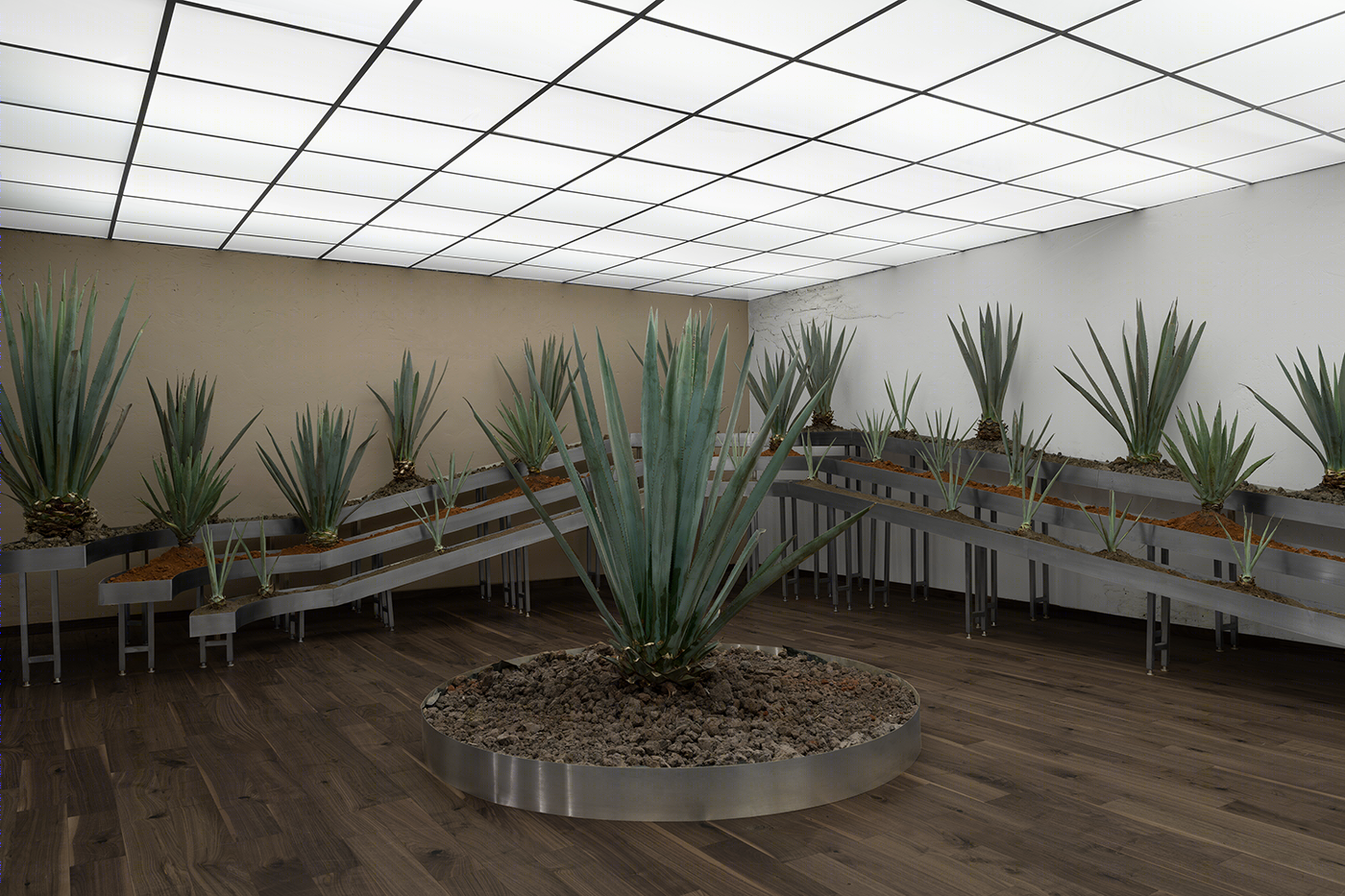 多贝尔的大师之地-16