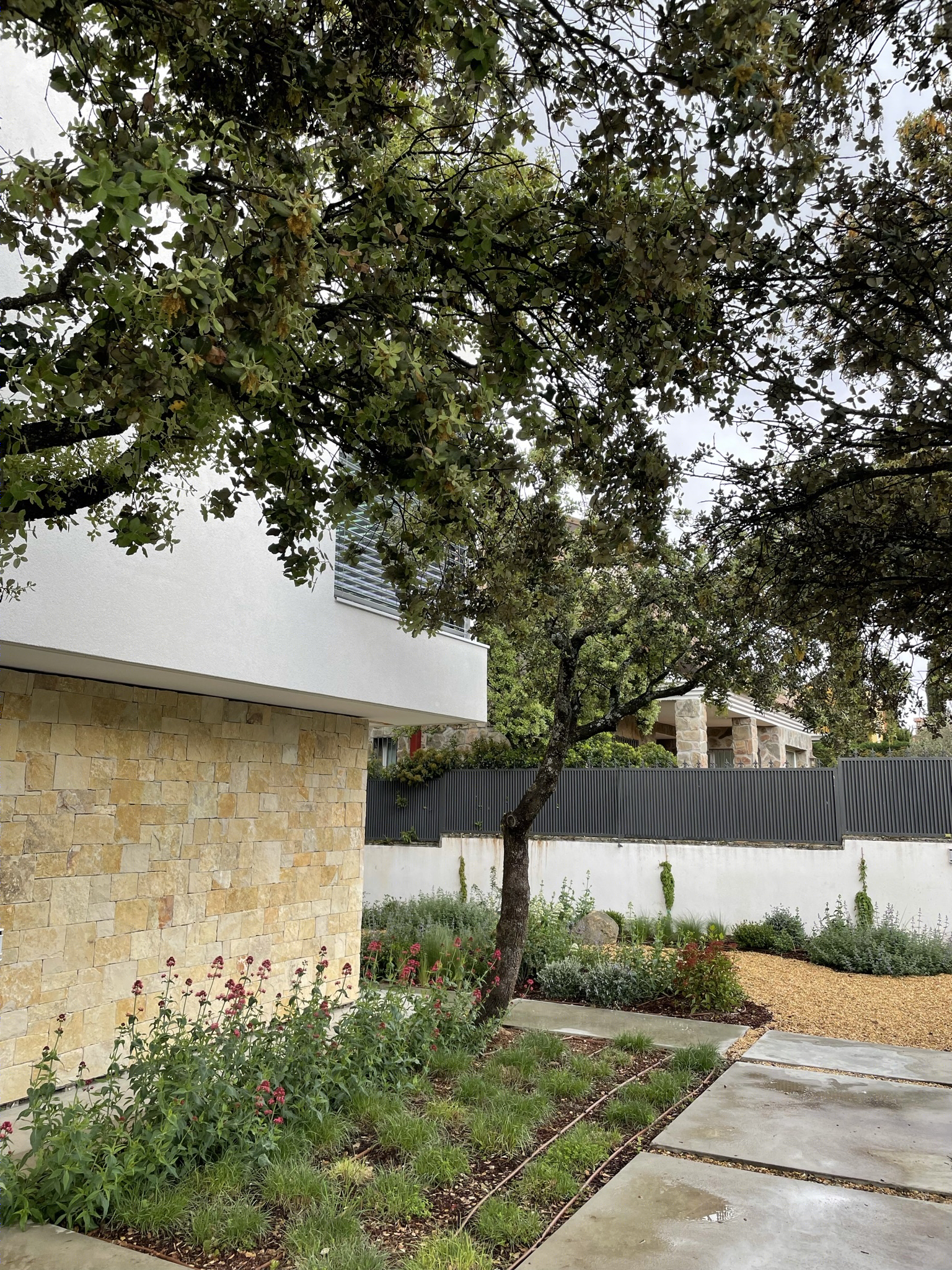 Andres Peña Sanchez丨别墅丨Vivienda entre encinas-24