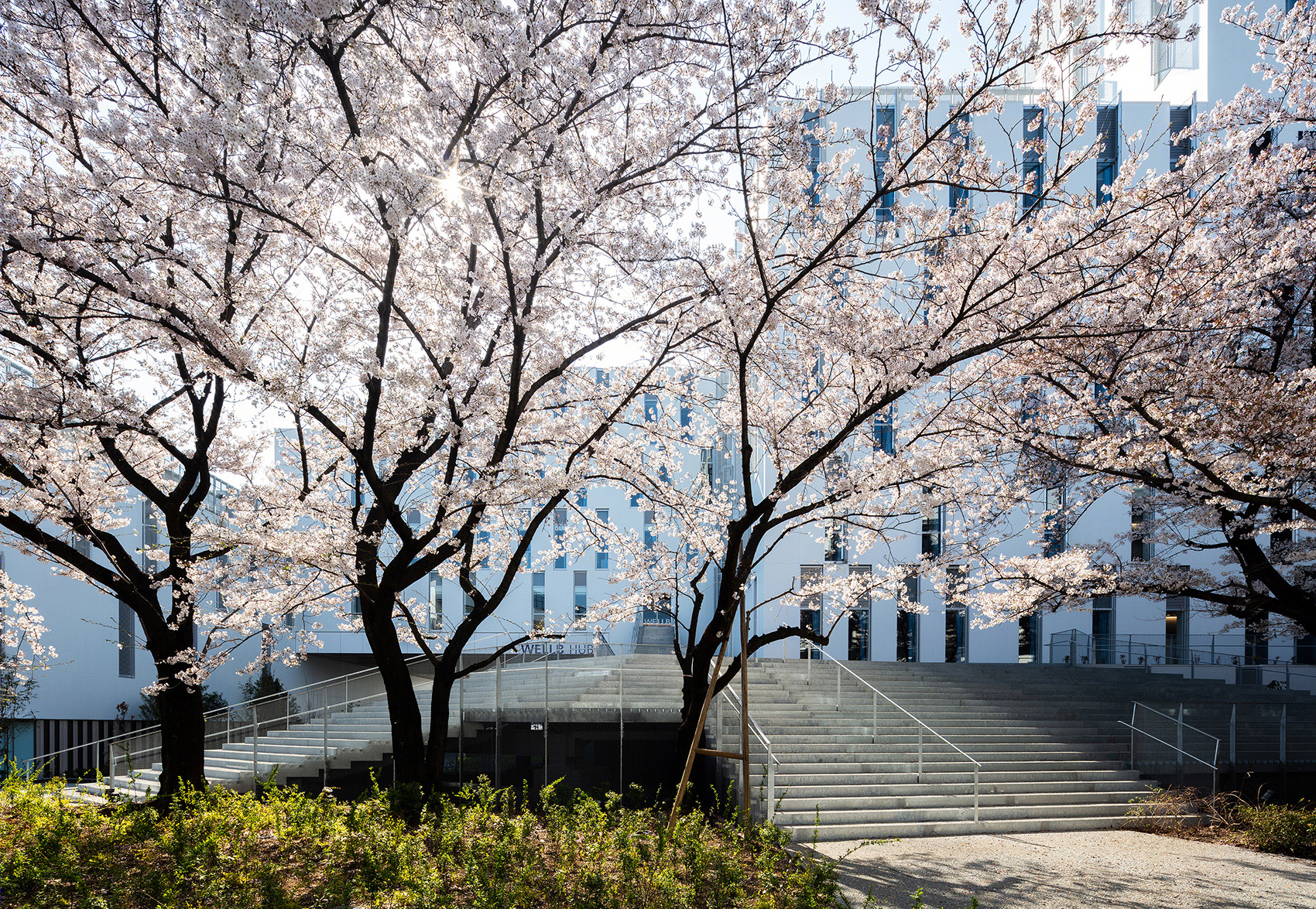 东洋大学赤羽台校区二期大楼丨日本东京丨NIHON SEKKEI,INC.,TODA CORPORATION-5