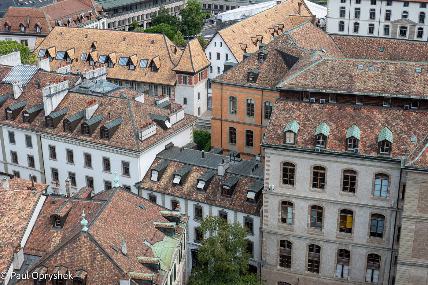The Roof Tops of Geneva-4