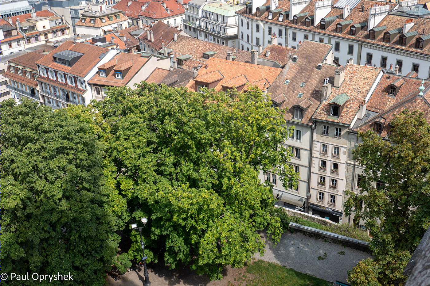 The Roof Tops of Geneva-5