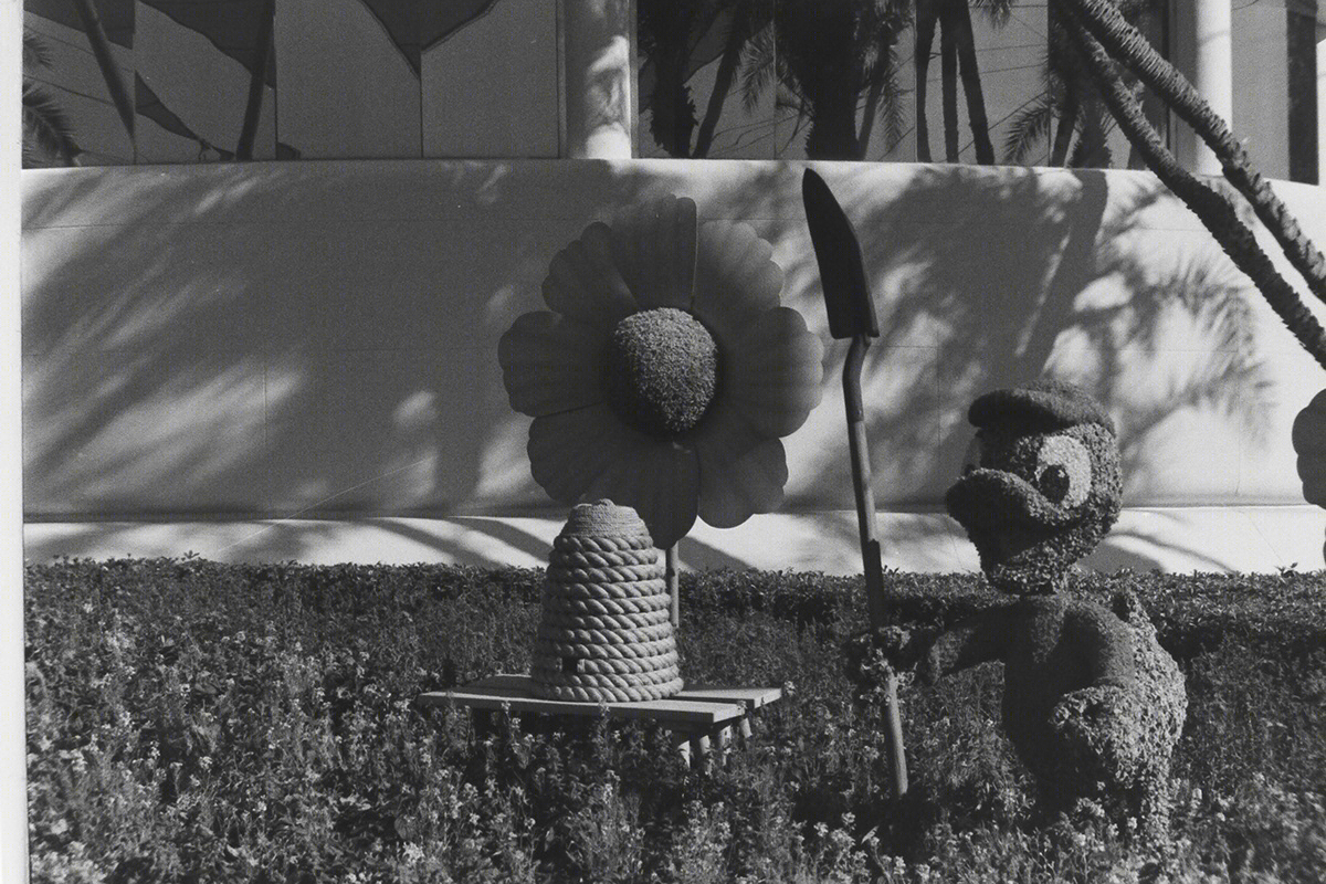 Lines and Shadows-3