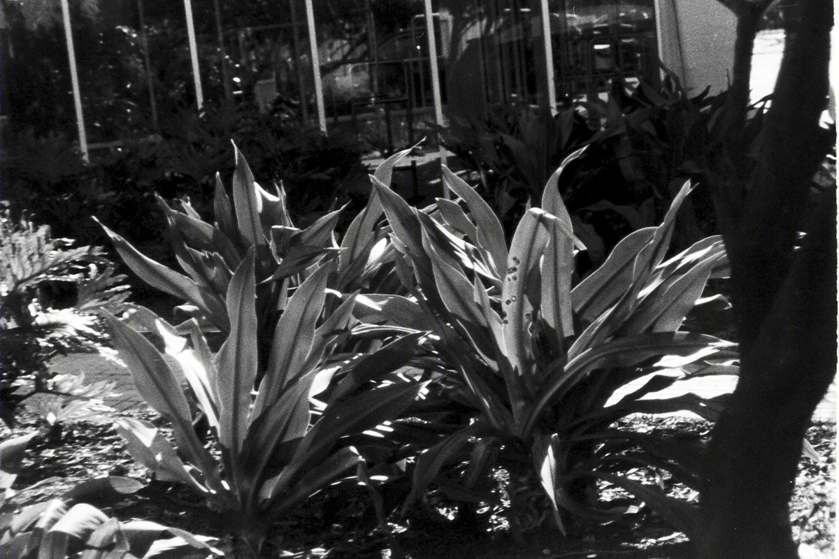 Lines and Shadows-6