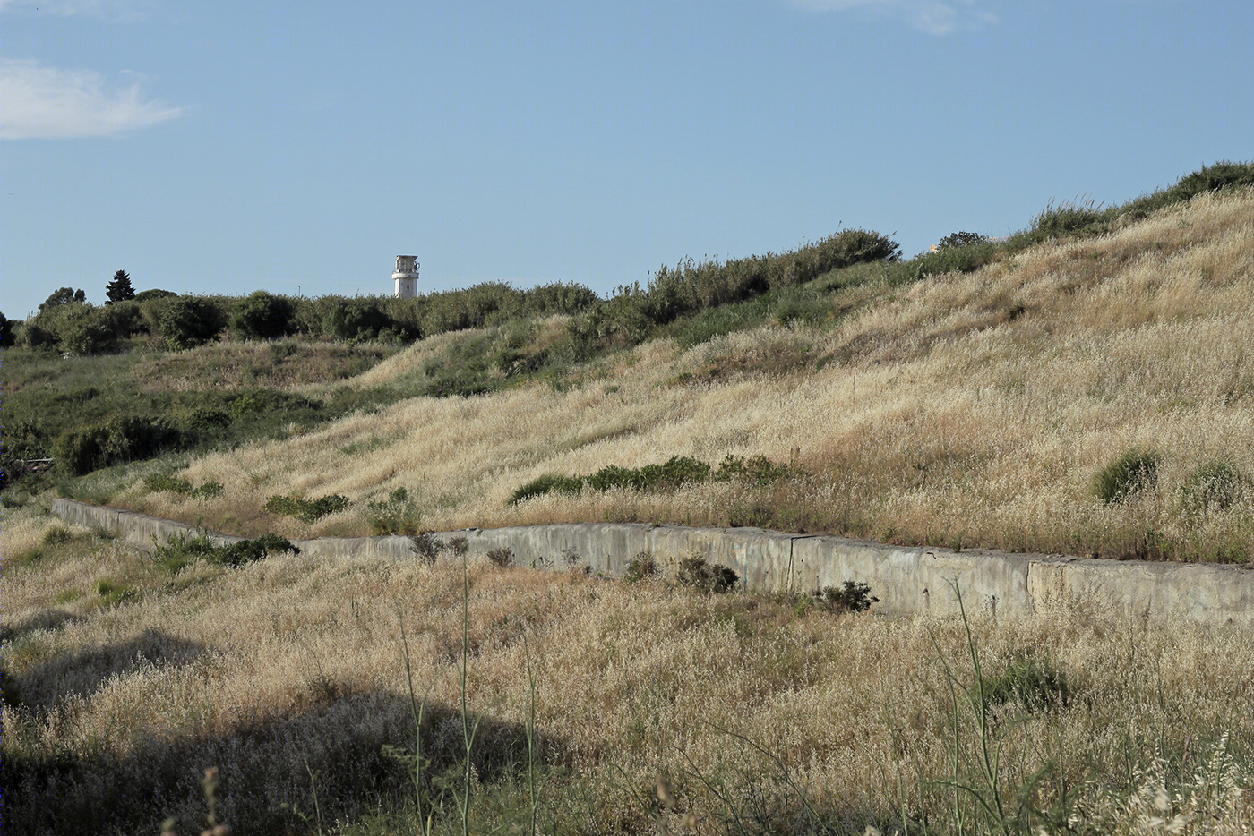 Some Version Of Pastoral-2