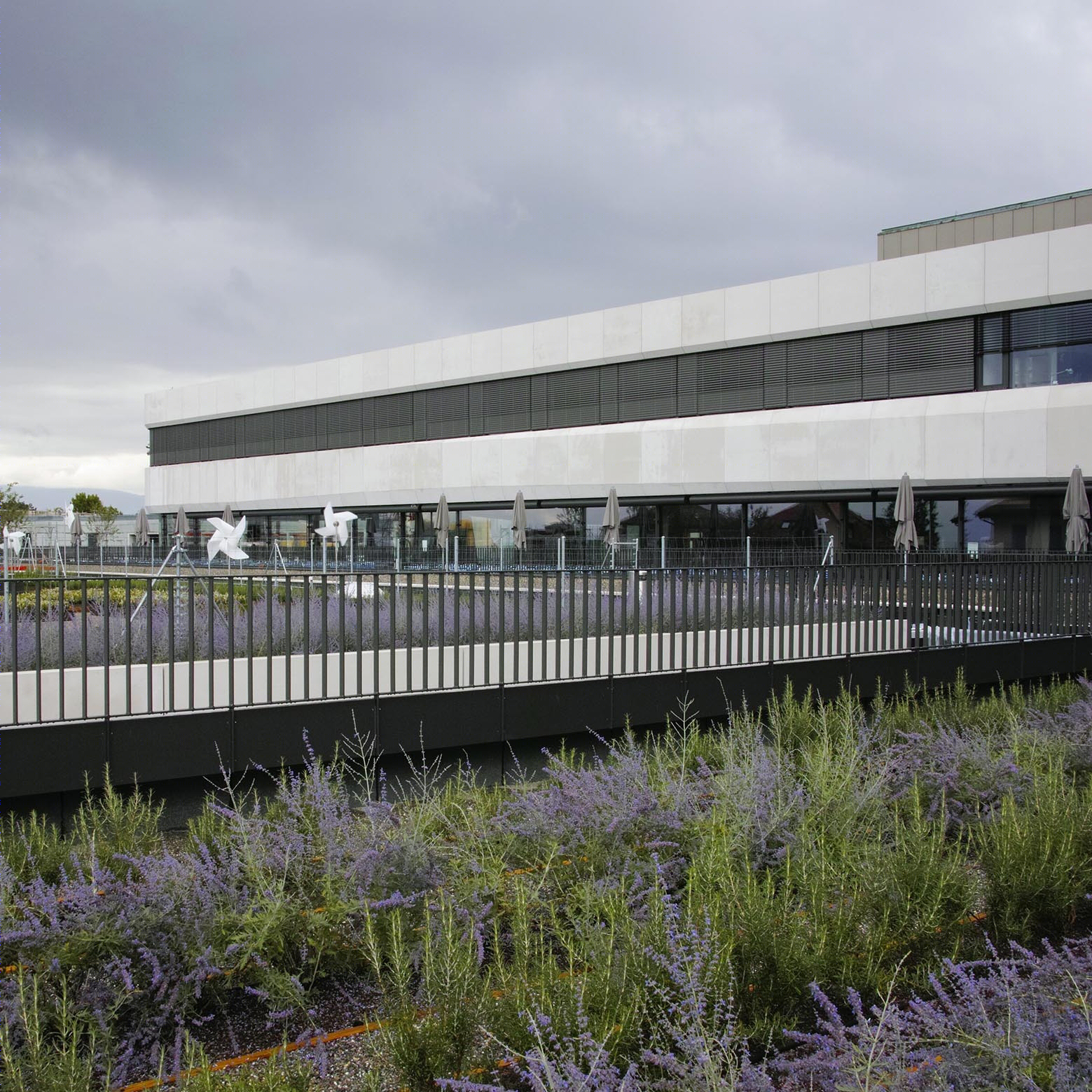 洛桑学校食堂-19