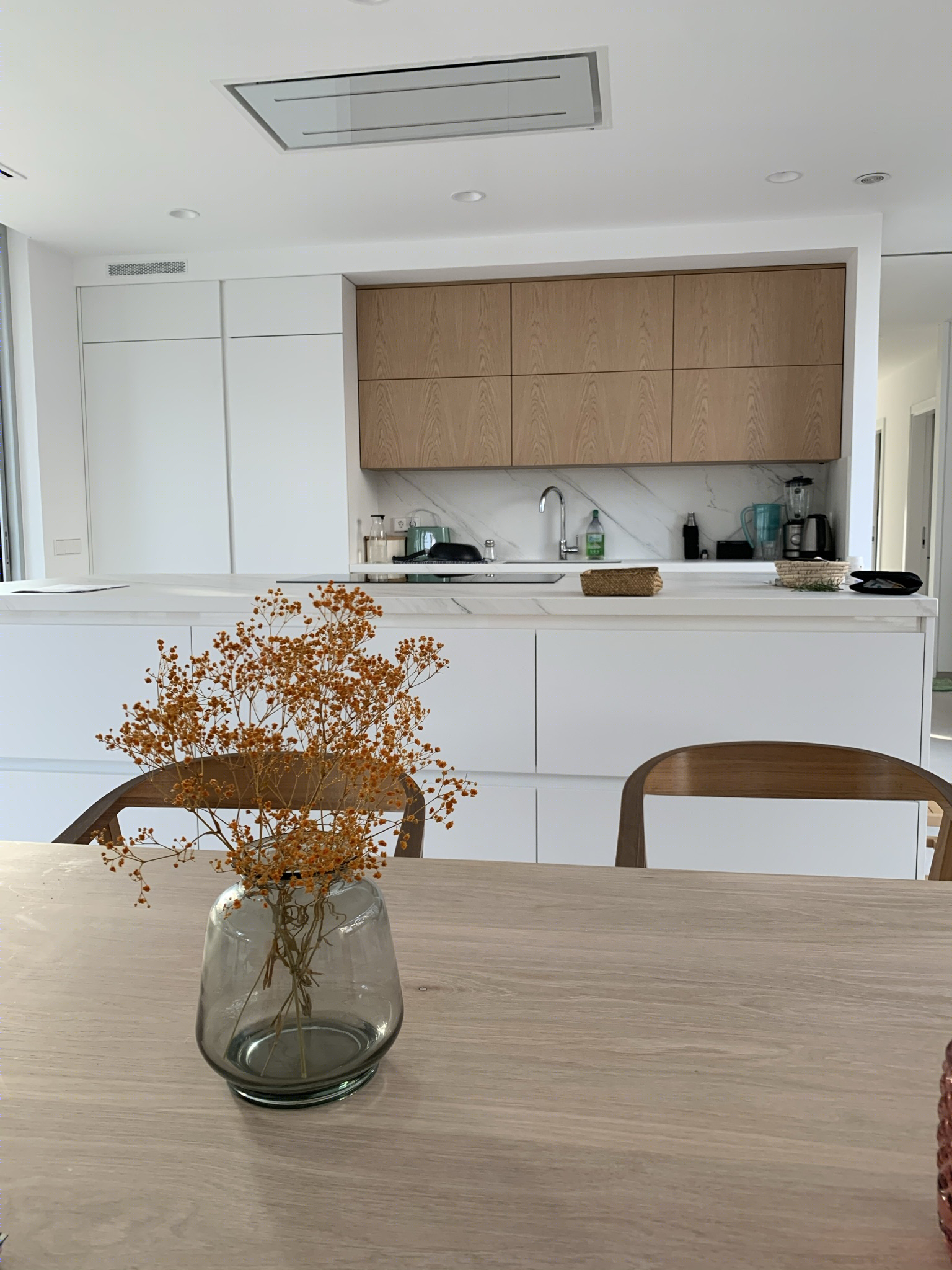 Andres Peña Sanchez丨别墅丨Vivienda entre encinas-32