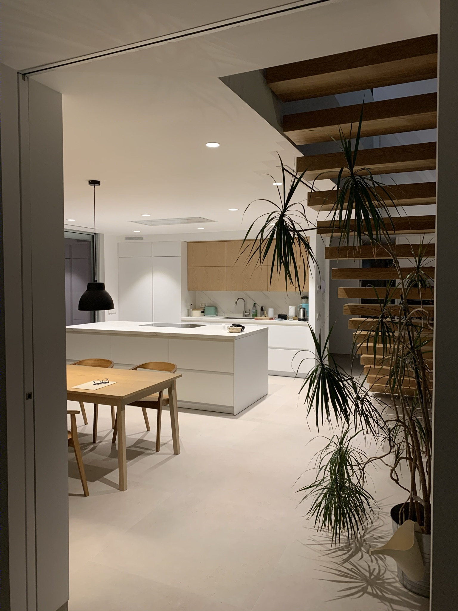 Andres Peña Sanchez丨别墅丨Vivienda entre encinas-33