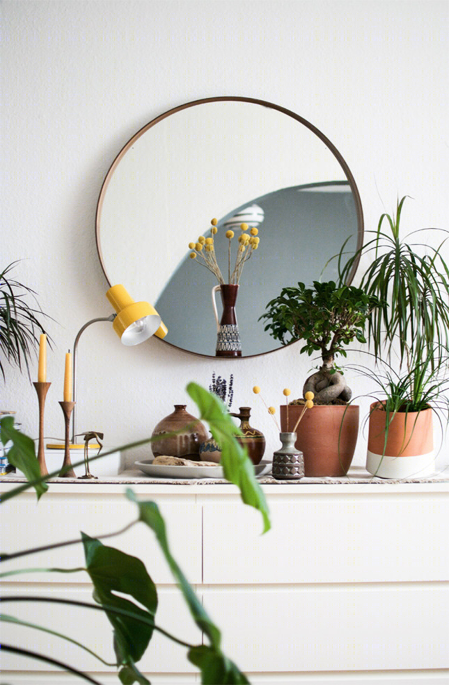 室内植物打造都市丛林美感丨ELLEdecoration-11