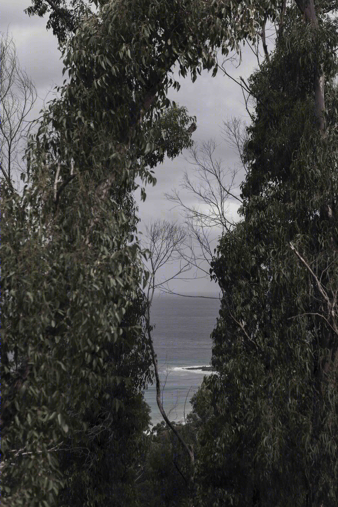 集装箱里的海洋风度假屋-35