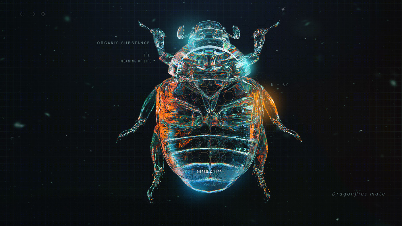 创意昆虫概念设计，展现独特魅力-5