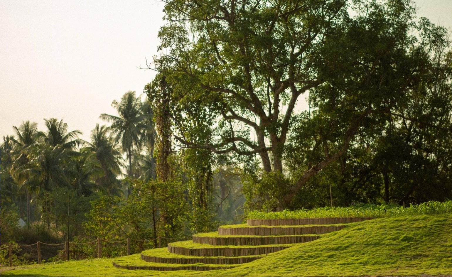 神奇果实音乐节-20