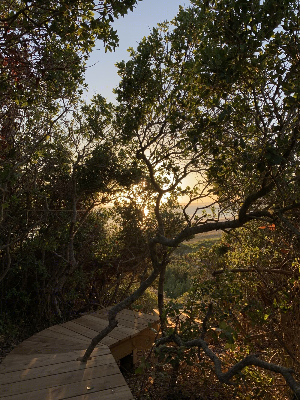 西班牙“光影小屋”-27