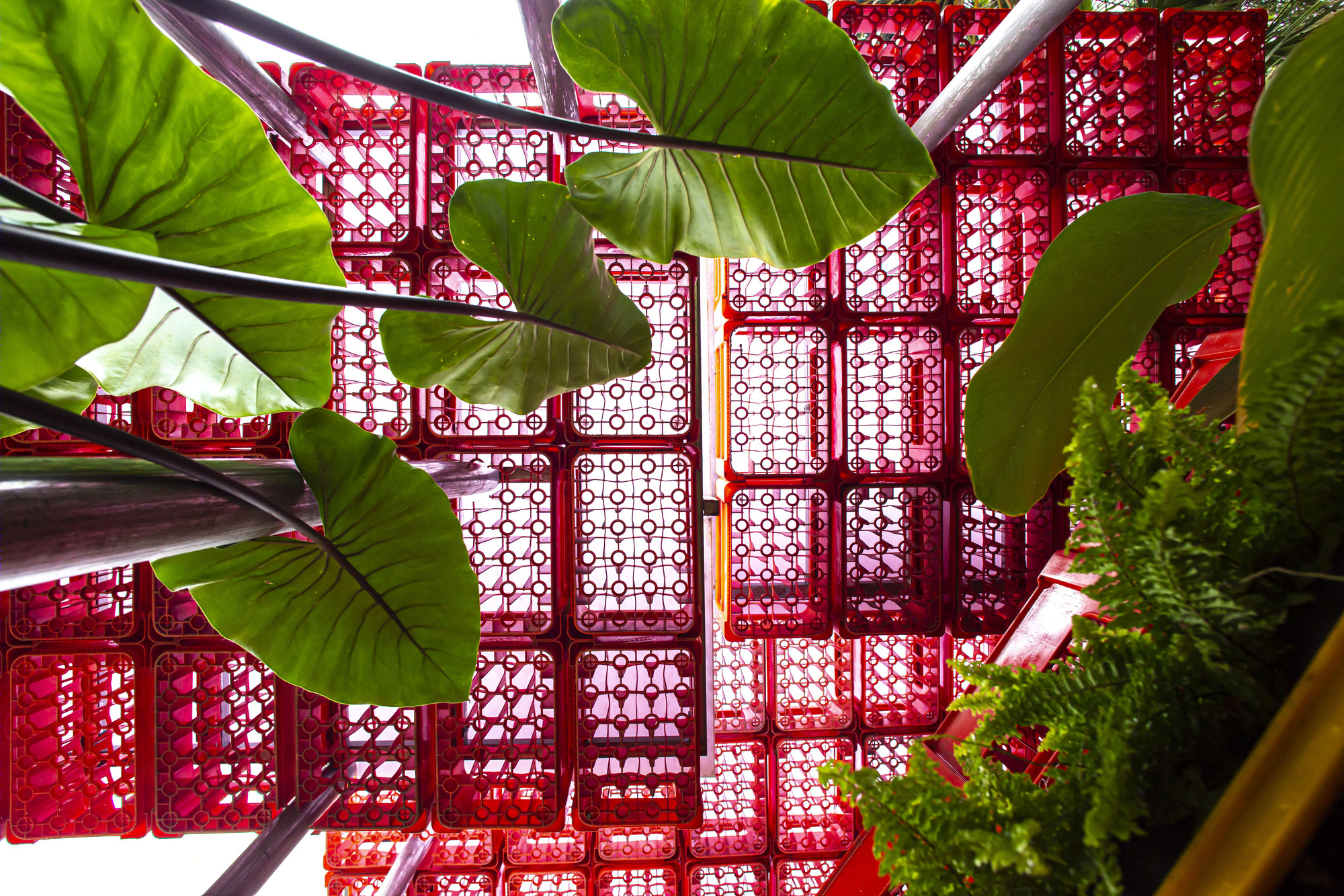 科塔克拉特亭-30