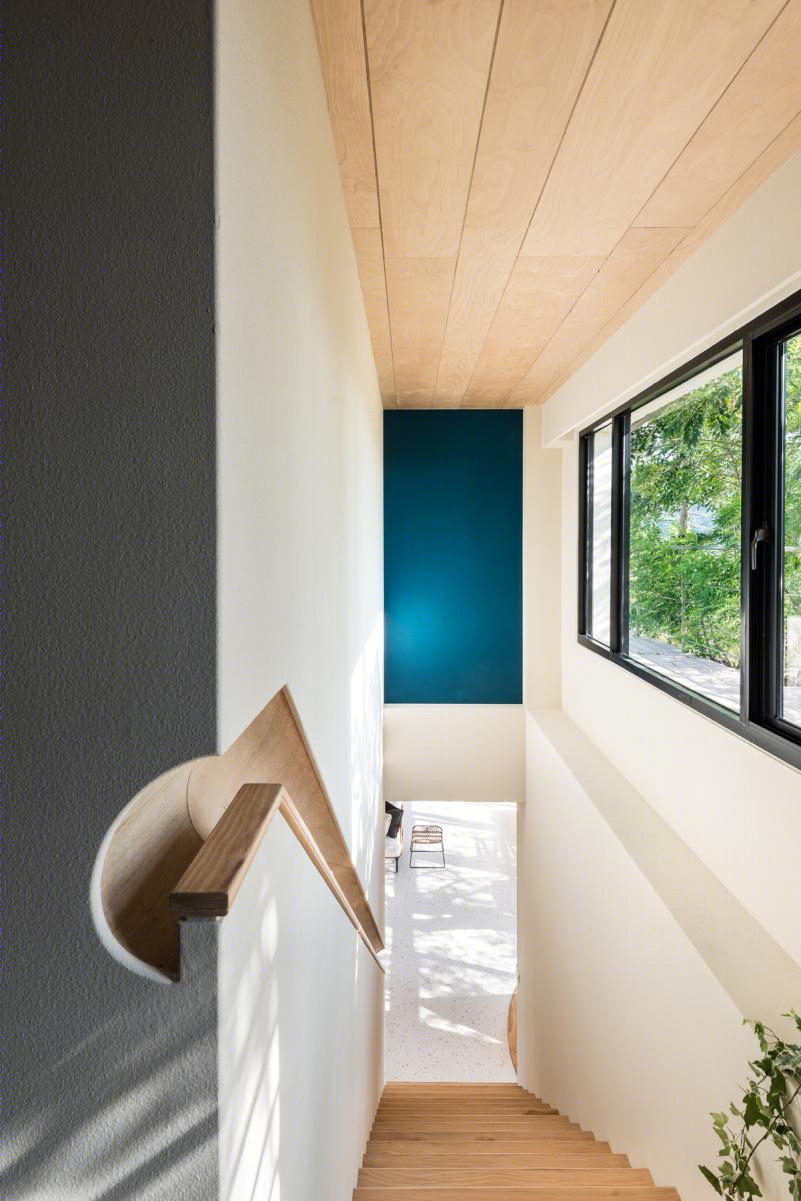 CHI——稻映 |共生-22