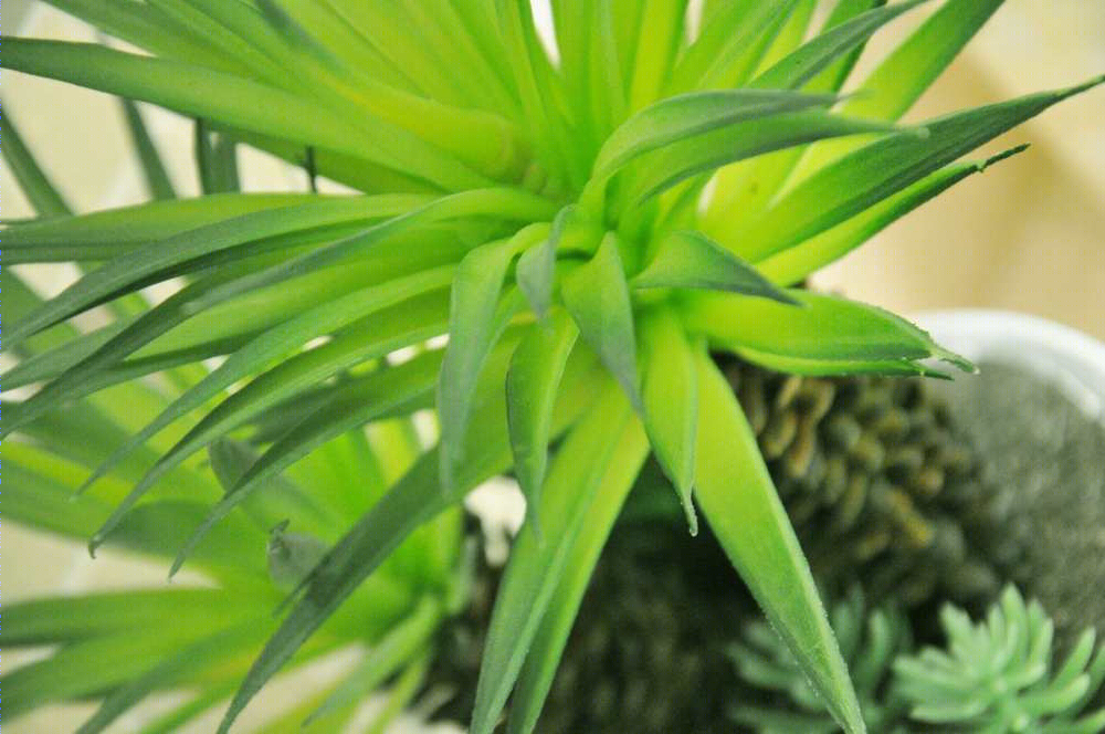 城市锦上样板间 | 现代简约风格演绎舒适生活-13