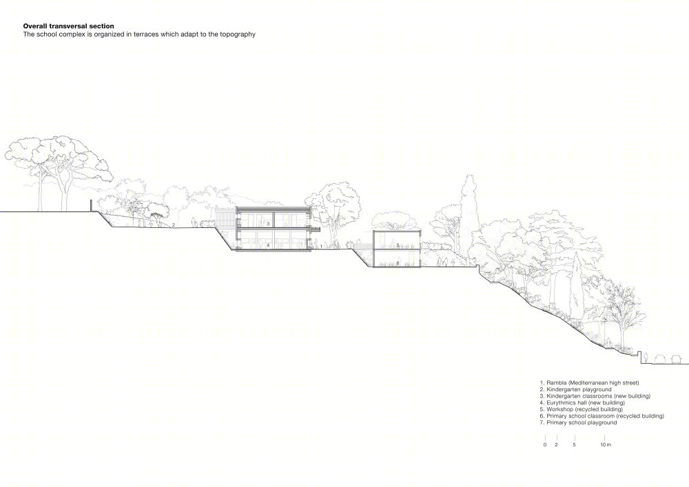 El Til·ler 学校-36