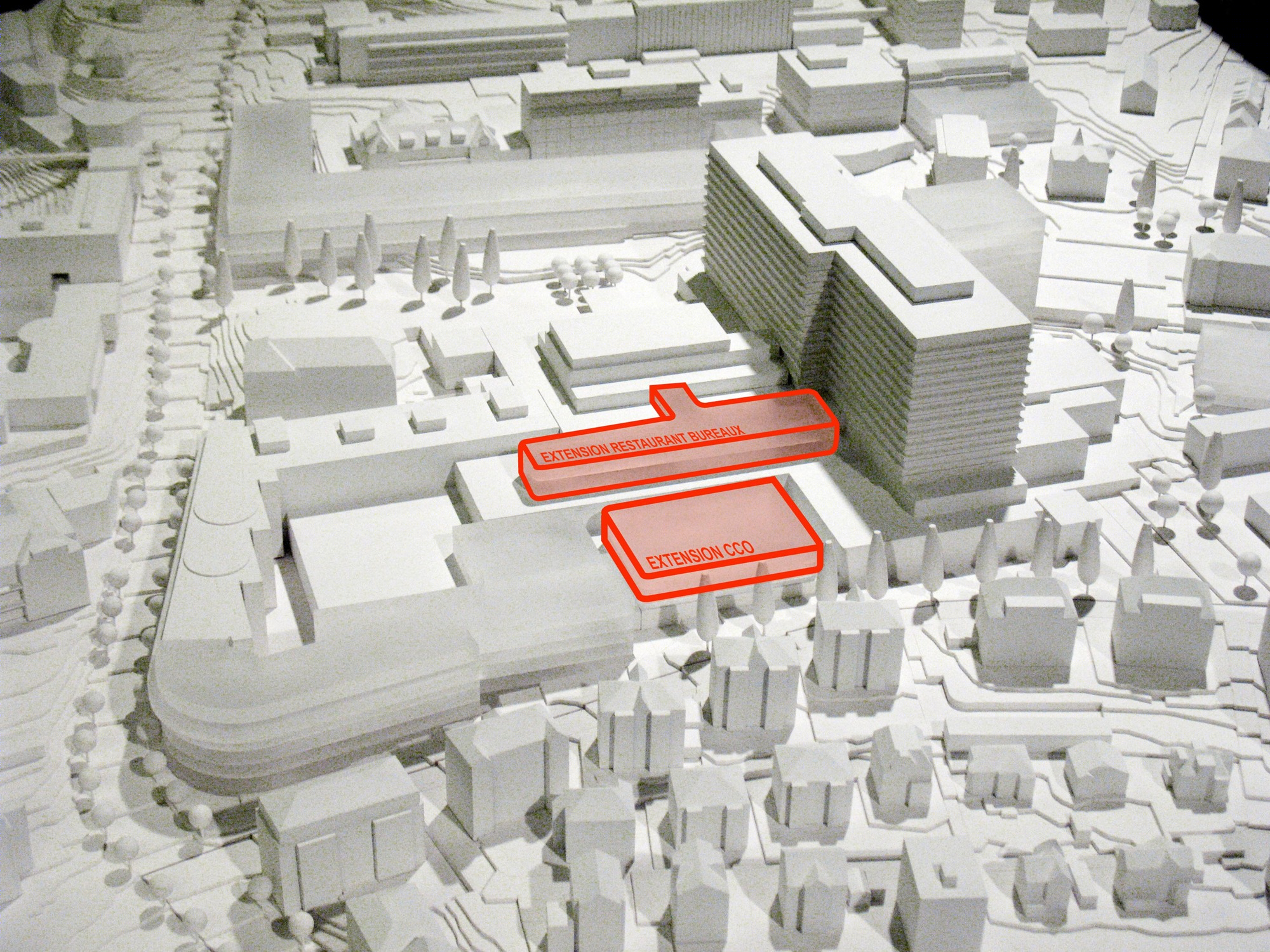 洛桑学校食堂-33