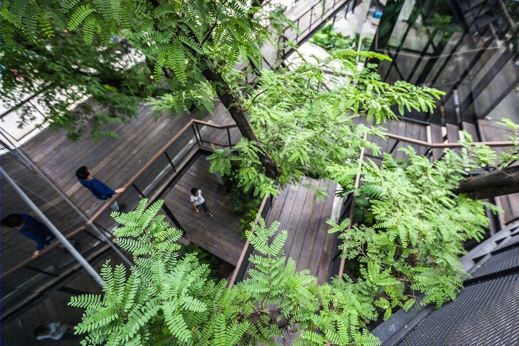 奈帕艺术综合体·斯塔多建筑师事务所-53