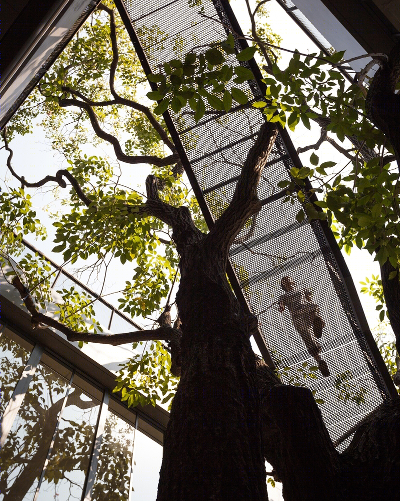 奈帕艺术综合体·斯塔多建筑师事务所-54