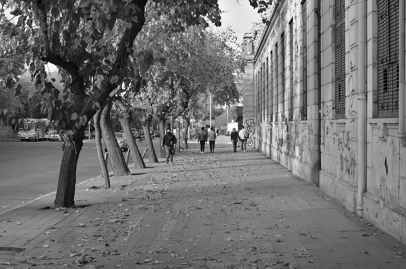 San Juan Monocromo 2-7