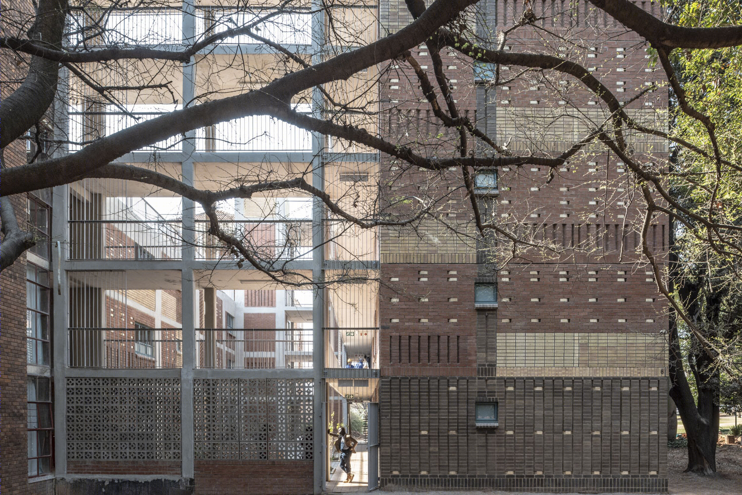 融合校园环境的 Barnato Hall Addition Phase 1 设计-1