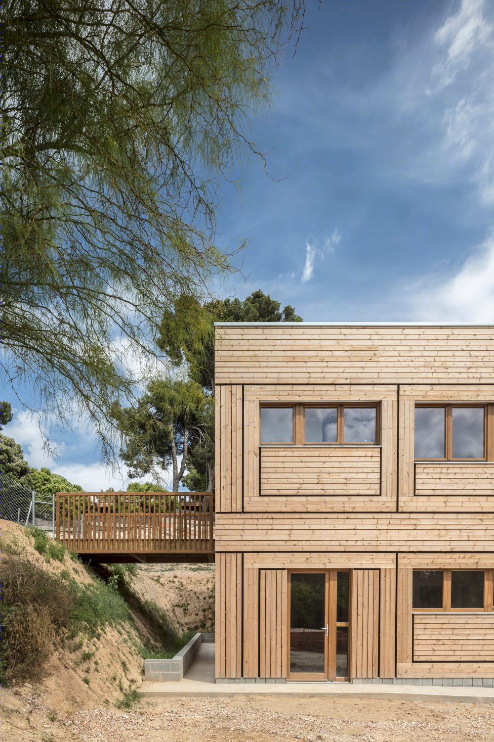 El Til·ler 学校-45