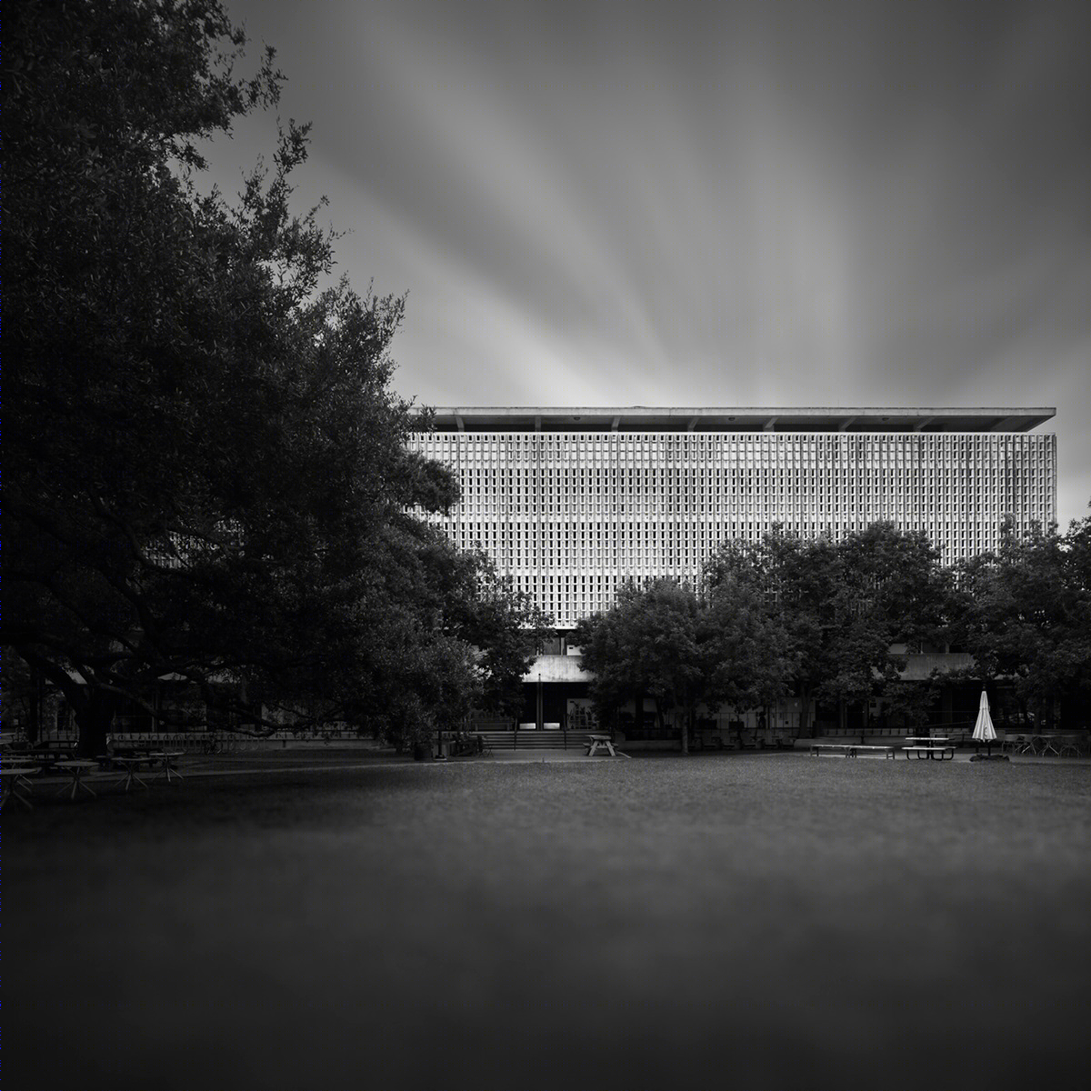 Rice University, Houston, Texas-5