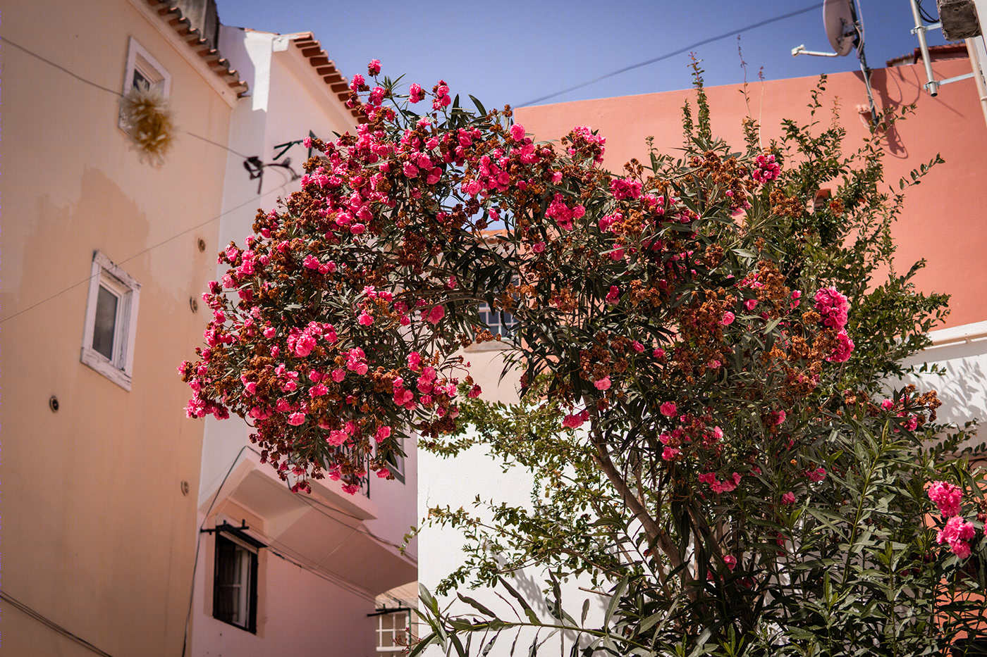 Anastasiya Gushchina丨公寓建筑丨Streets of Lisbon-4