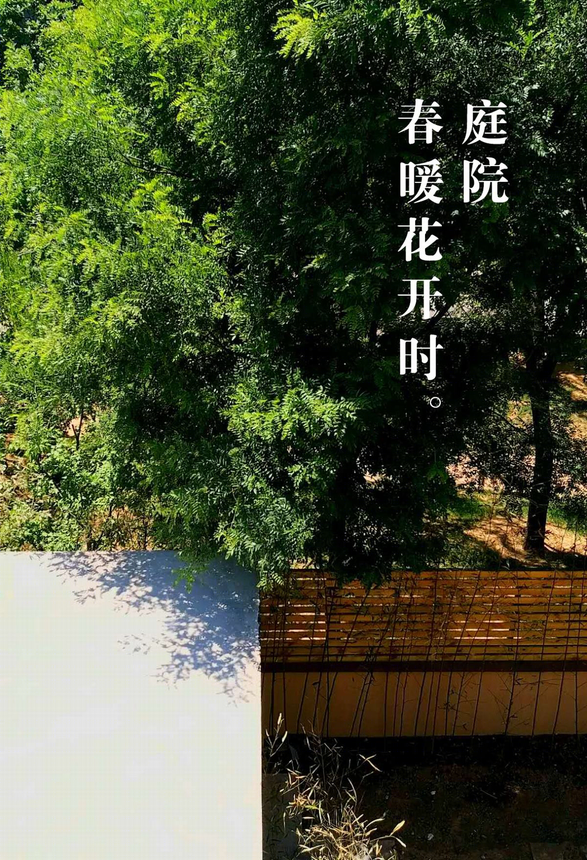 意在云天外-50