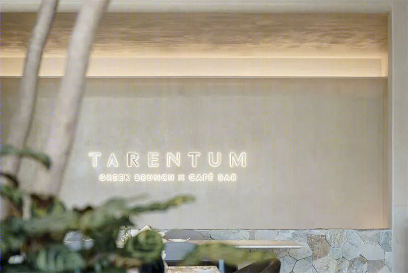 TARENTUM 萄木丨中国深圳丨RBD DESIGN BOX-64