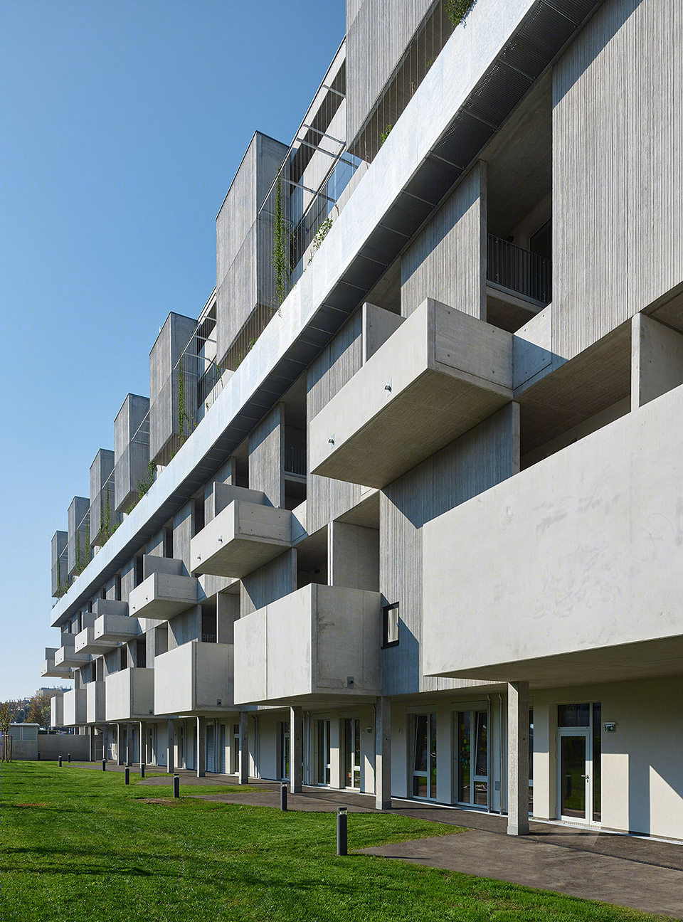 表演性遮阳板-22