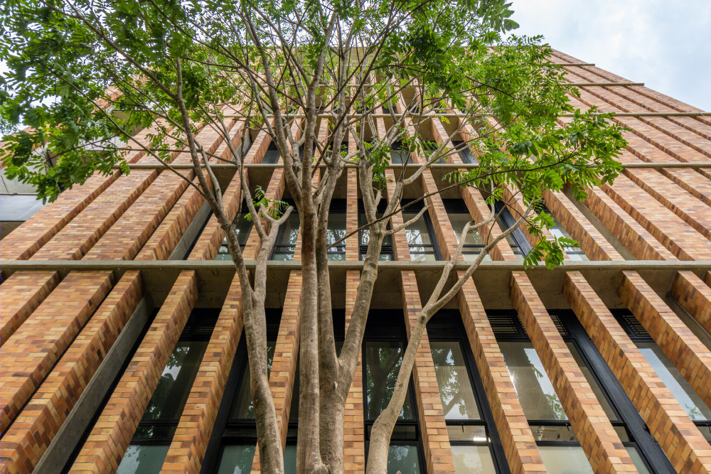 哥伦比亚可持续大学建筑 | 多萨塞德罗大厦-38