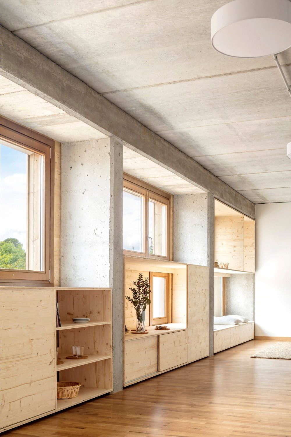 El Til·ler 学校-61