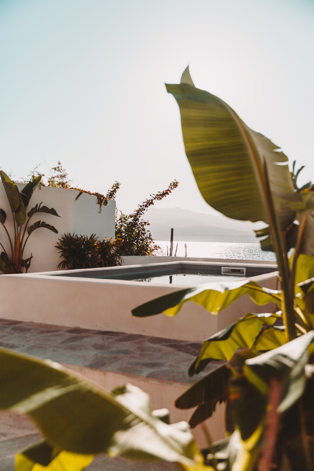 圣特雷莎之家 | 简约风格与自然元素的完美融合-28
