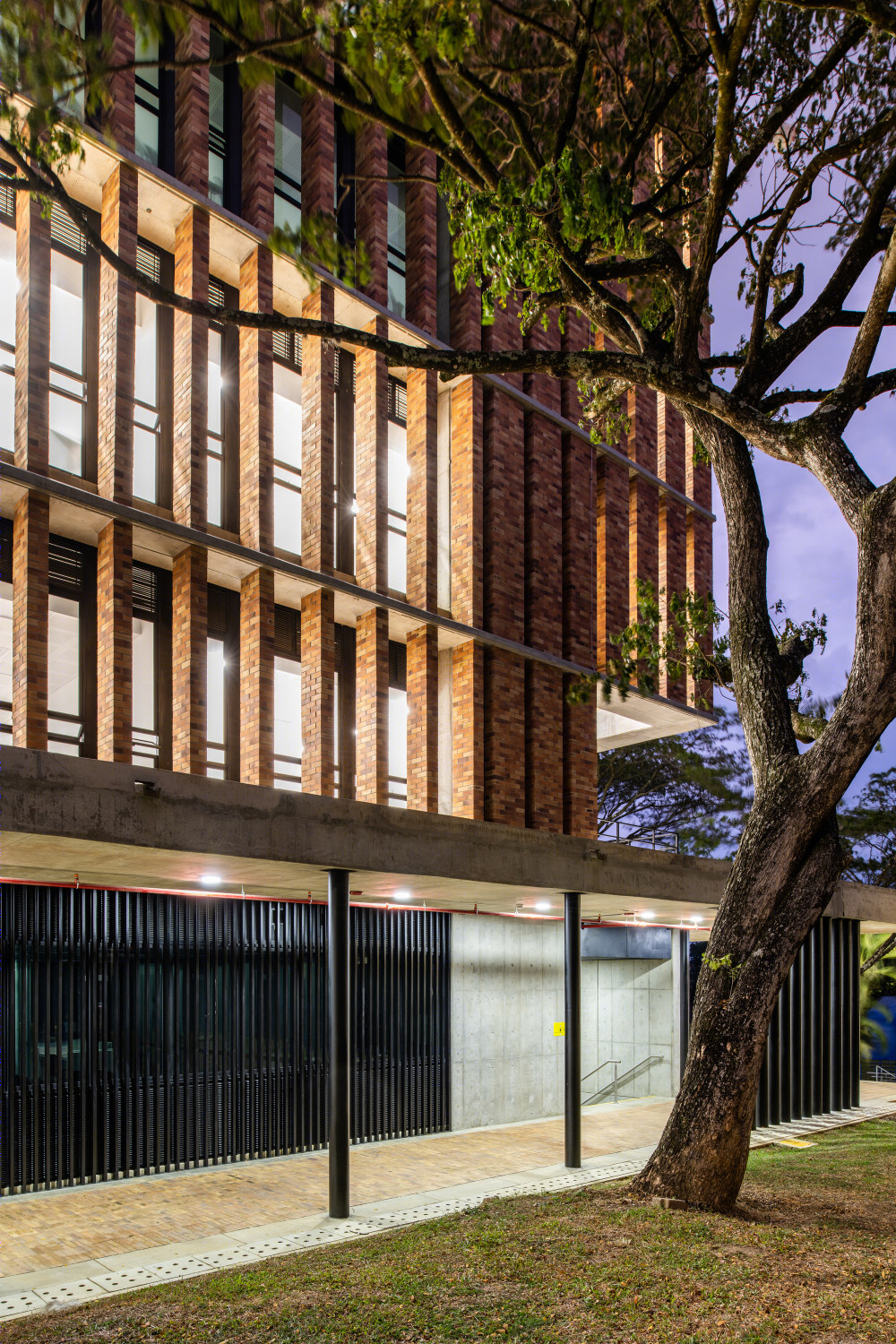 哥伦比亚可持续大学建筑 | 多萨塞德罗大厦-40