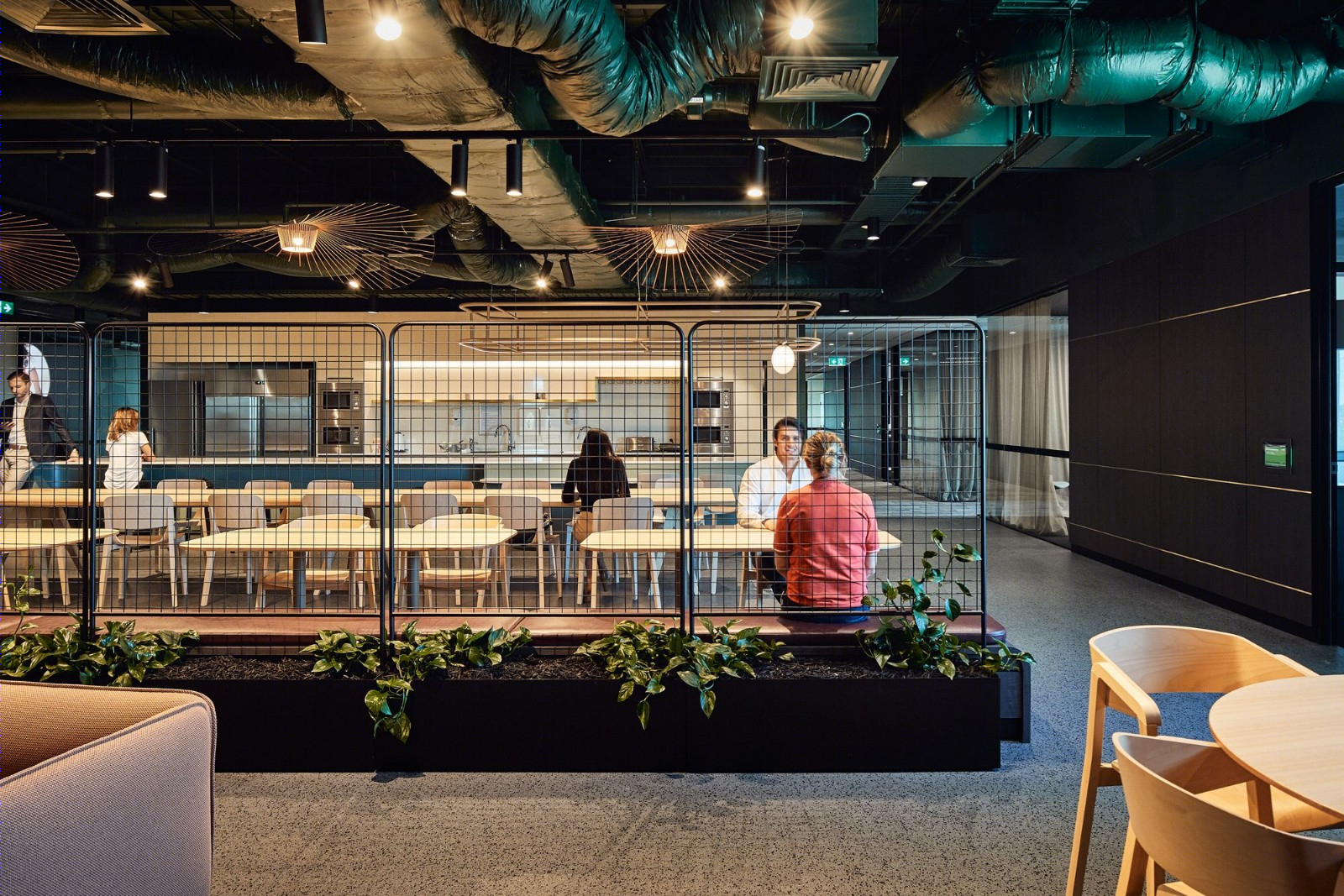 墨尔本David Jones集团办公楼  Gray Puksand-19