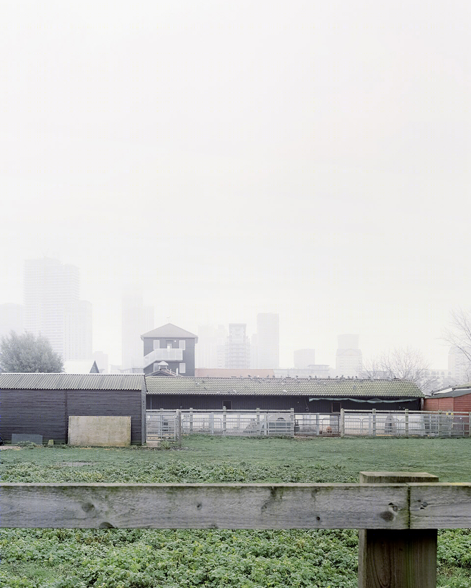 伦敦 Surrey Docks 城市农场建筑翻新,打造河畔教育新空间-44