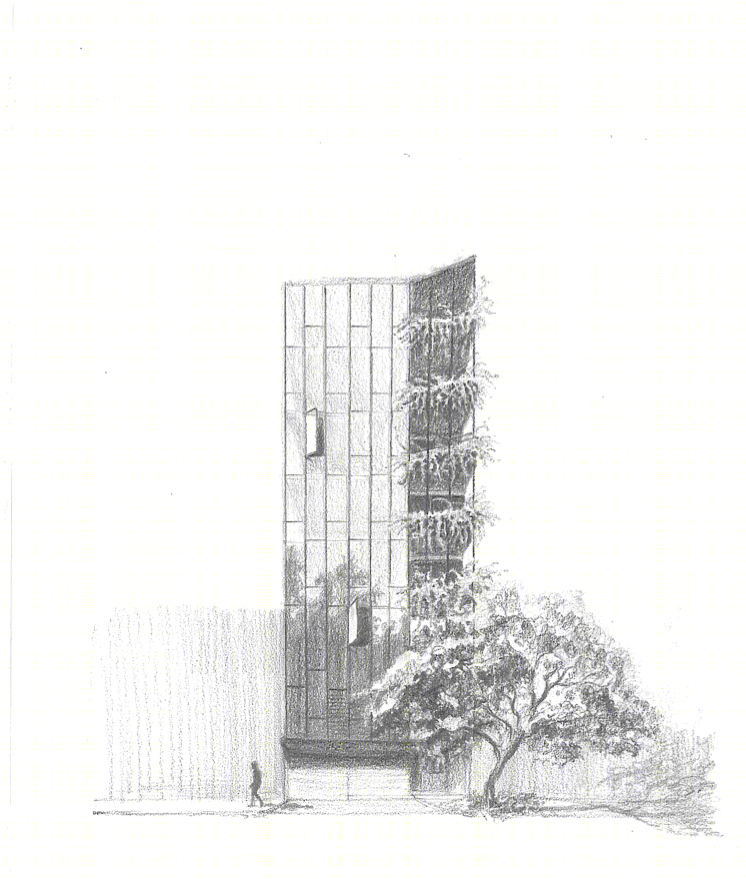 墨西哥 Torre 61 办公大楼，自然光与绿色生态的完美结合-13