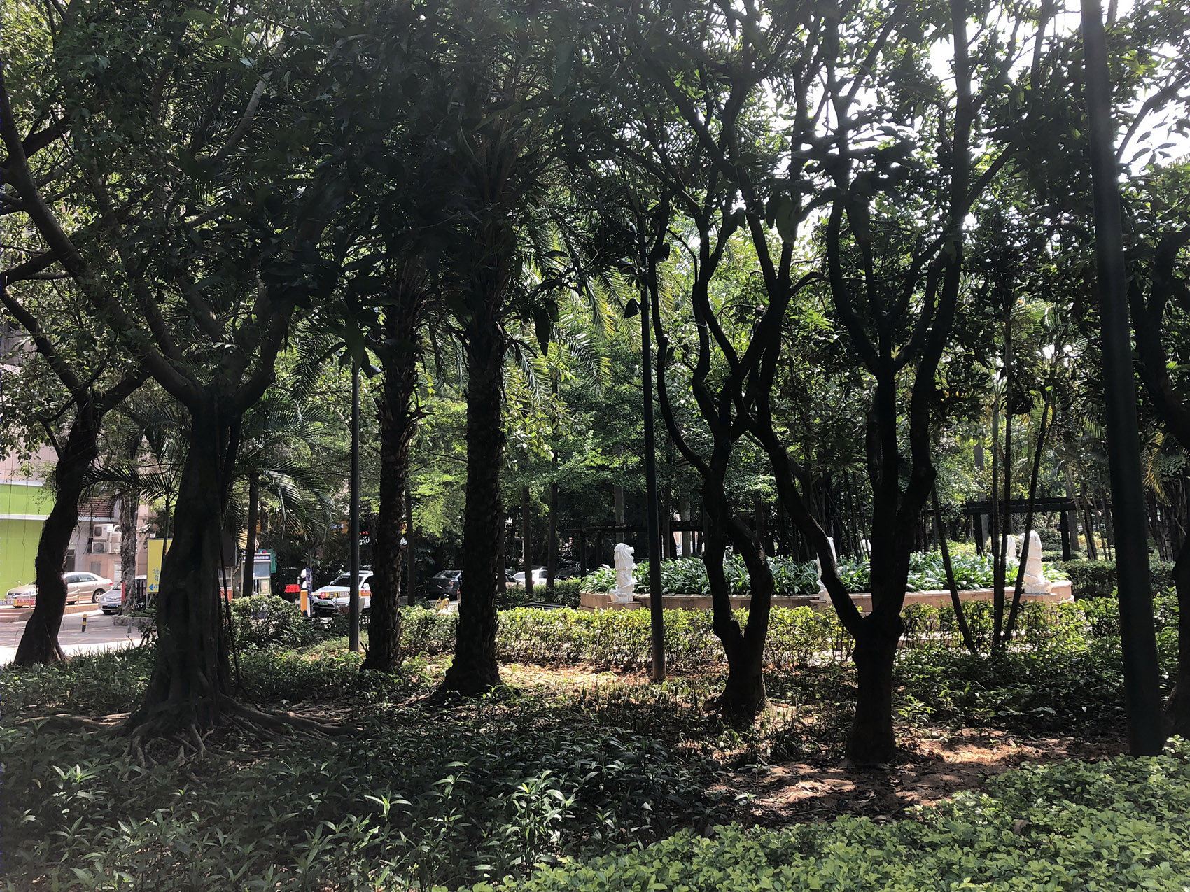 罗湖区“三横四纵”道路沿线视觉一体化·笋岗东路丨深圳市新西林园林景观有限公司-35
