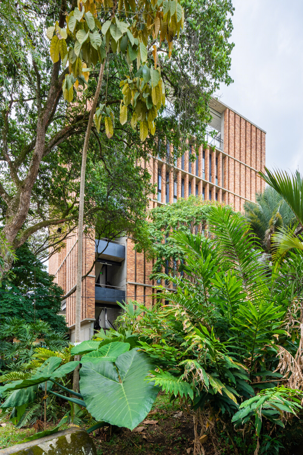 哥伦比亚可持续大学建筑 | 多萨塞德罗大厦-49