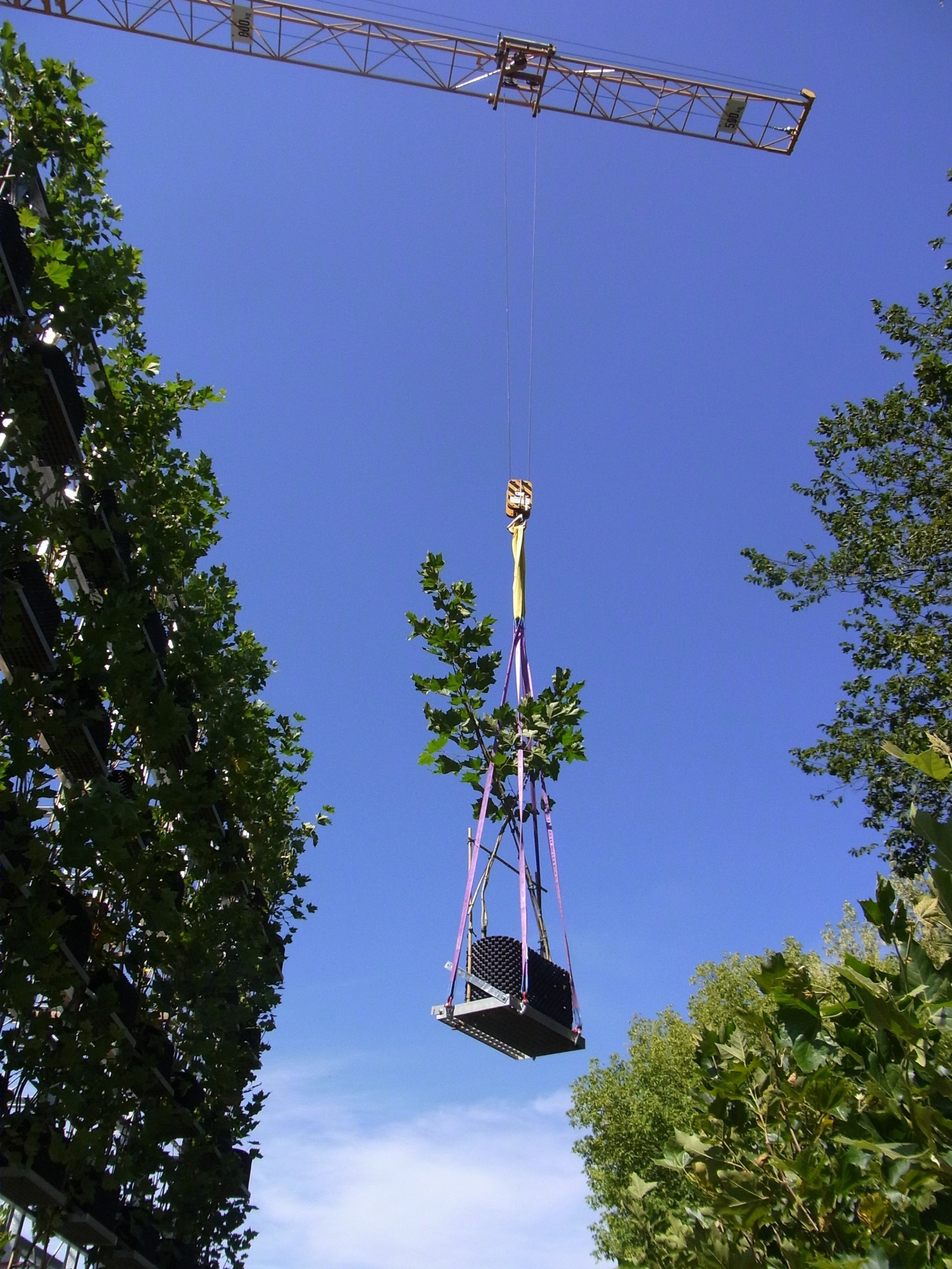 绿色魔方 · 城市垂直口袋公园的创新设计-9