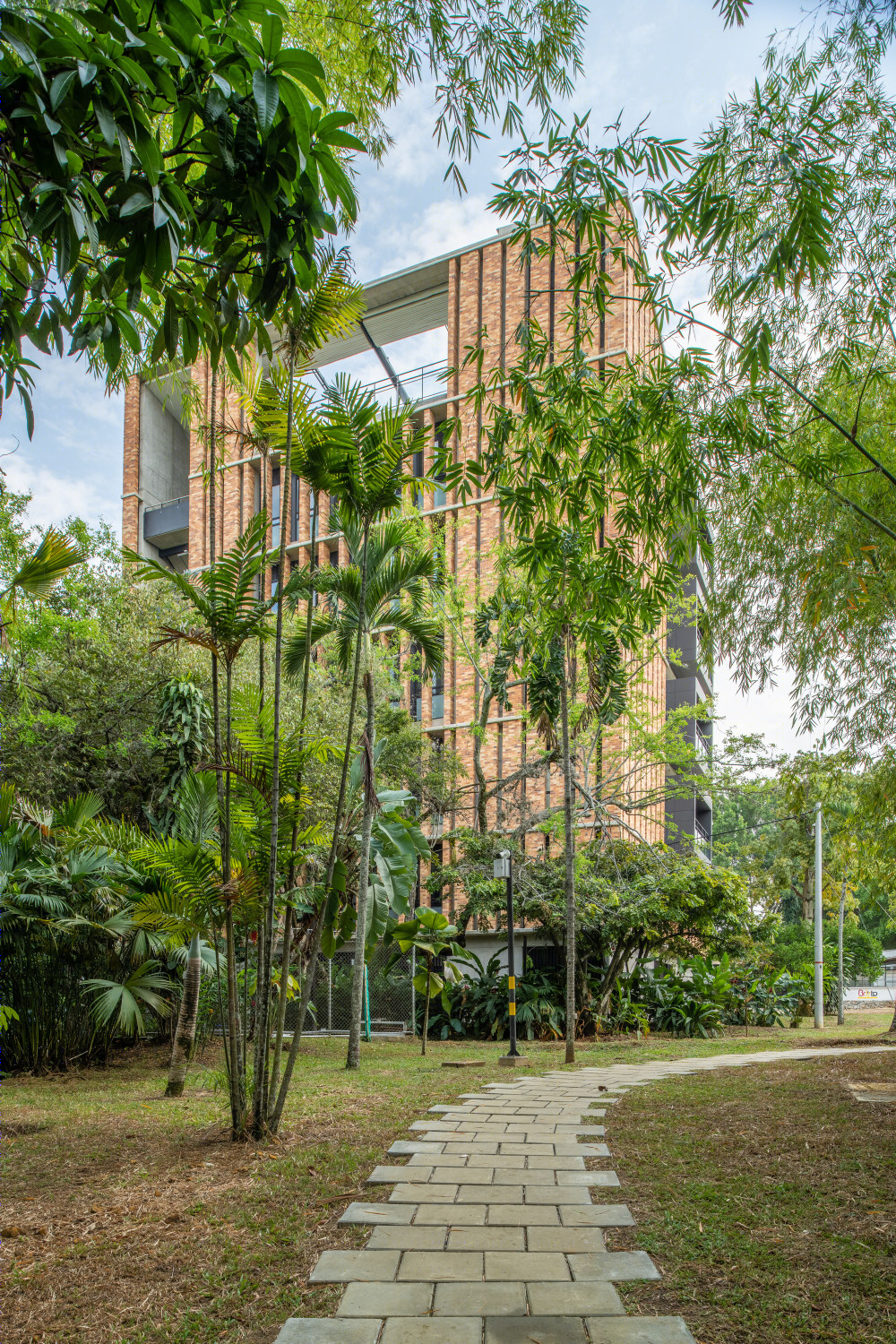 哥伦比亚可持续大学建筑 | 多萨塞德罗大厦-54