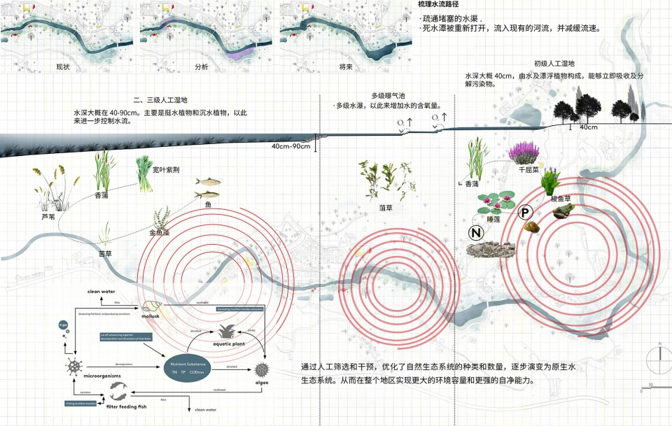 2019 IFLA亚太地区分析规划类卓越奖:二次激活·德阳市高槐村乡村振兴总体规划丨环球地景设计有限公司-12