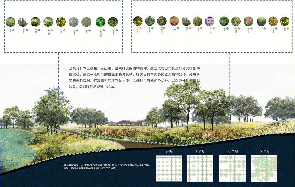 2019 IFLA亚太地区分析规划类卓越奖:二次激活·德阳市高槐村乡村振兴总体规划丨环球地景设计有限公司-14