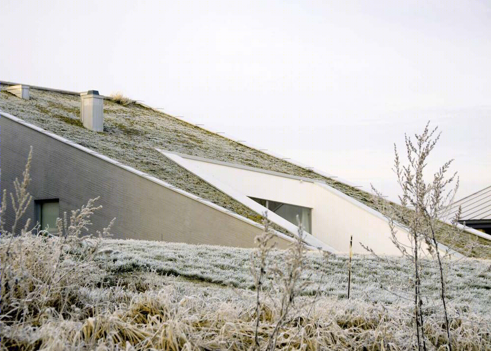 立陶宛河畔“一半房子”设计，绿色环保，室内外无缝连接-24